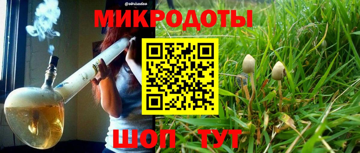 Псилоцибиновые грибы Psilocybine cubensis  Вход с VPN  Верхняя Пышма 