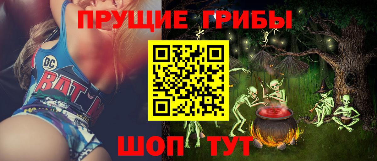 Псилоцибиновые грибы прущие грибы Верхняя Пышма